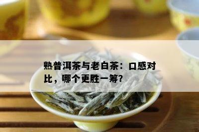 熟普洱茶与老白茶：口感对比，哪个更胜一筹？