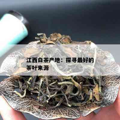 江西白茶产地：探寻更好的茶叶来源