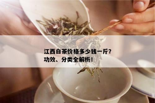 江西白茶价格多少钱一斤？功效、分类全解析！