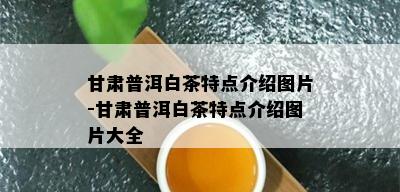 甘肃普洱白茶特点介绍图片-甘肃普洱白茶特点介绍图片大全