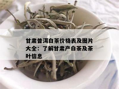 甘肃普洱白茶价格表及图片大全：了解甘肃产白茶及茶叶信息