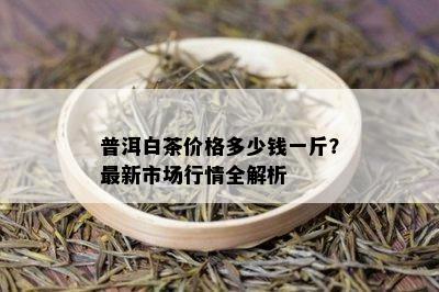 普洱白茶价格多少钱一斤？最新市场行情全解析