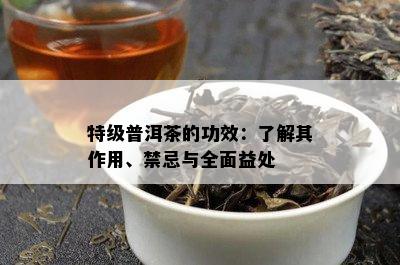 特级普洱茶的功效：了解其作用、禁忌与全面益处