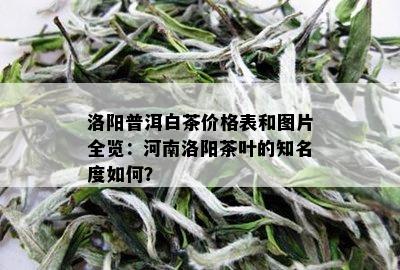 洛阳普洱白茶价格表和图片全览：河南洛阳茶叶的知名度如何？