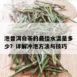 泡普洱白茶的更佳水温是多少？详解冲泡方法与技巧