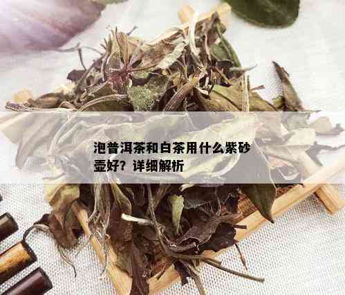 泡普洱茶和白茶用什么紫砂壶好？详细解析