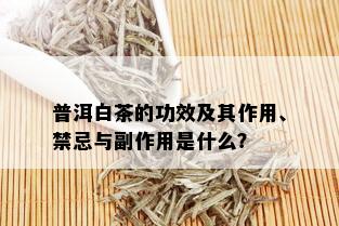 普洱白茶的功效及其作用、禁忌与副作用是什么？