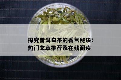 探究普洱白茶的香气秘诀：热门文章推荐及在线阅读