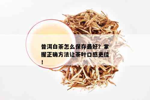 普洱白茶怎么保存更好？掌握正确方法让茶叶口感更佳！