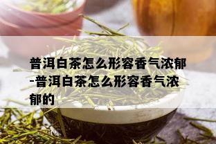 普洱白茶怎么形容香气浓郁-普洱白茶怎么形容香气浓郁的