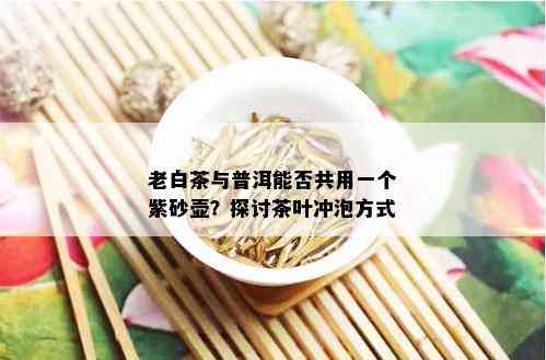 老白茶与普洱能否共用一个紫砂壶？探讨茶叶冲泡方式