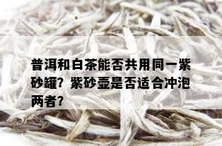 普洱和白茶能否共用同一紫砂罐？紫砂壶是否适合冲泡两者？