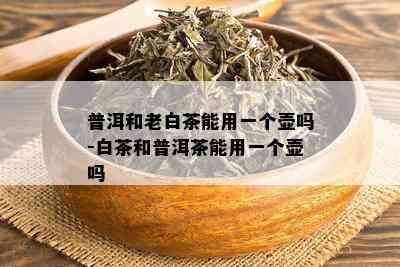 普洱和老白茶能用一个壶吗-白茶和普洱茶能用一个壶吗