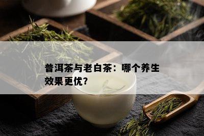 普洱茶与老白茶：哪个养生效果更优？