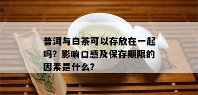 普洱与白茶可以存放在一起吗？影响口感及保存期限的因素是什么？