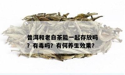 普洱和老白茶能一起存放吗？有吗？有何养生效果？