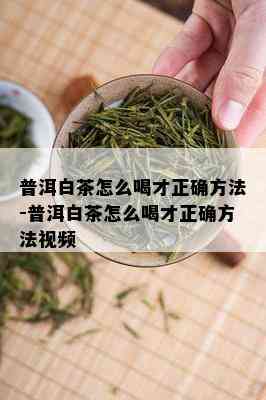 普洱白茶怎么喝才正确方法-普洱白茶怎么喝才正确方法视频