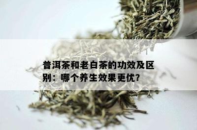 普洱茶和老白茶的功效及区别：哪个养生效果更优？