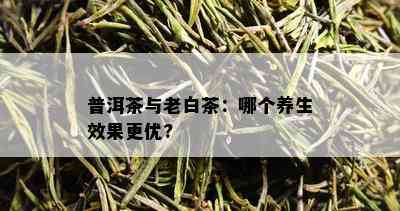 普洱茶与老白茶：哪个养生效果更优?