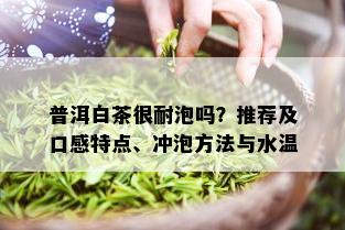 普洱白茶很耐泡吗？推荐及口感特点、冲泡方法与水温