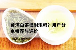 普洱白茶很耐泡吗？用户分享推荐与评价