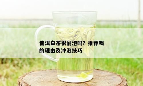 普洱白茶很耐泡吗？推荐喝的理由及冲泡技巧