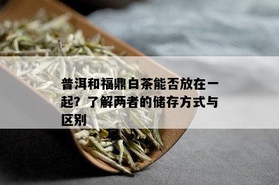 普洱和福鼎白茶能否放在一起？了解两者的储存方式与区别