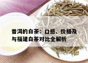 普洱的白茶：口感、价格及与福建白茶对比全解析