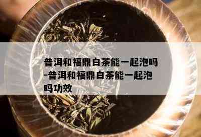 普洱和福鼎白茶能一起泡吗-普洱和福鼎白茶能一起泡吗功效