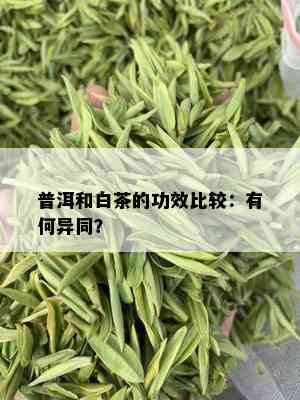 普洱和白茶的功效比较：有何异同？