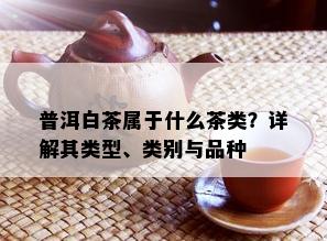 普洱白茶属于什么茶类？详解其类型、类别与品种