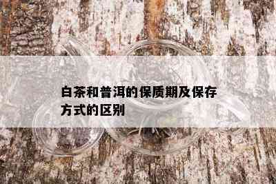 白茶和普洱的保质期及保存方式的区别