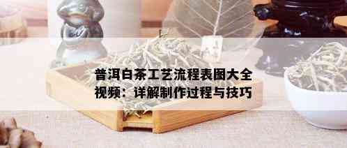 普洱白茶工艺流程表图大全视频：详解制作过程与技巧