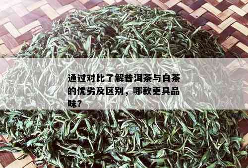 通过对比了解普洱茶与白茶的优劣及区别，哪款更具品味?