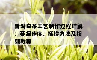 普洱白茶工艺制作过程详解：萎凋速度、揉搓方法及视频教程