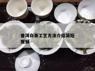 普洱白茶工艺方法介绍简短视频