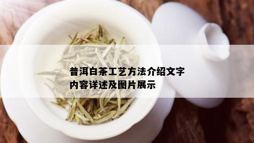 普洱白茶工艺方法介绍文字内容详述及图片展示