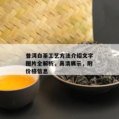普洱白茶工艺方法介绍文字图片全解析，高清展示，附价格信息