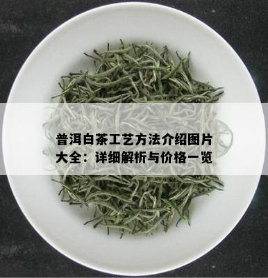普洱白茶工艺方法介绍图片大全：详细解析与价格一览