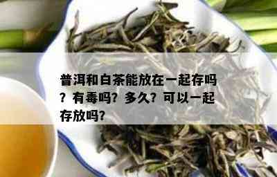 普洱和白茶能放在一起存吗？有吗？多久？可以一起存放吗？