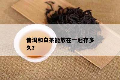 普洱和白茶能放在一起存多久？