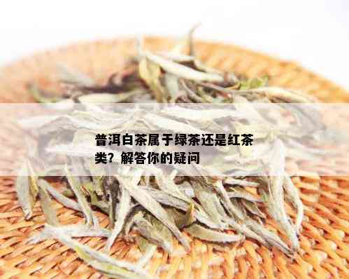 普洱白茶属于绿茶还是红茶类？解答你的疑问