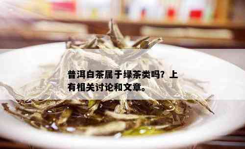 普洱白茶属于绿茶类吗？上有相关讨论和文章。