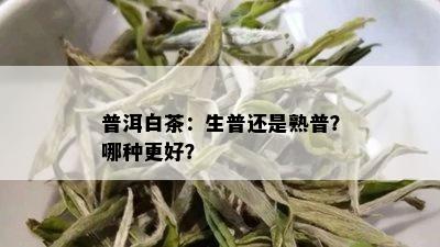 普洱白茶：生普还是熟普？哪种更好？