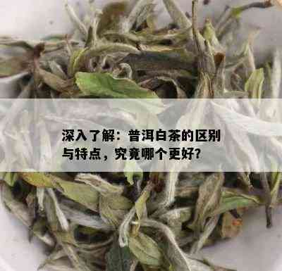 深入了解：普洱白茶的区别与特点，究竟哪个更好？