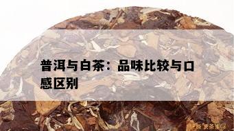 普洱与白茶：品味比较与口感区别