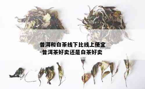 普洱和白茶线下比线上便宜-普洱茶好卖还是白茶好卖