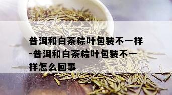 普洱和白茶粽叶包装不一样-普洱和白茶粽叶包装不一样怎么回事