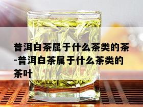 普洱白茶属于什么茶类的茶-普洱白茶属于什么茶类的茶叶