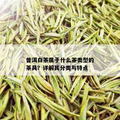 普洱白茶属于什么茶类型的茶具？详解其分类与特点